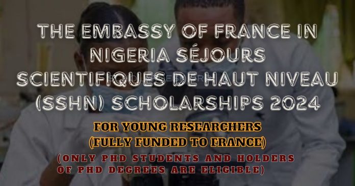 scholardesk.org - 2024-03-01T205608.228