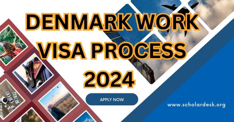DENMARK WORK VISA PROCESS 2024 (TYPES OF VISA SCHEME)