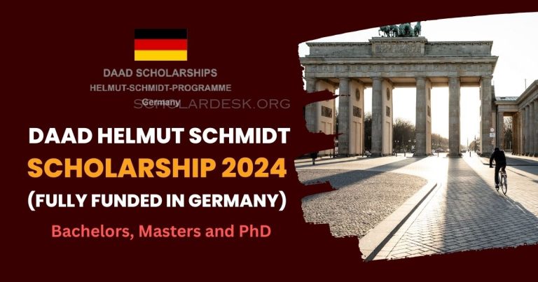DAAD HELMUT SCHMIDT SCHOLARSHIP 2024 GERMANY (FULLY FUNDED)